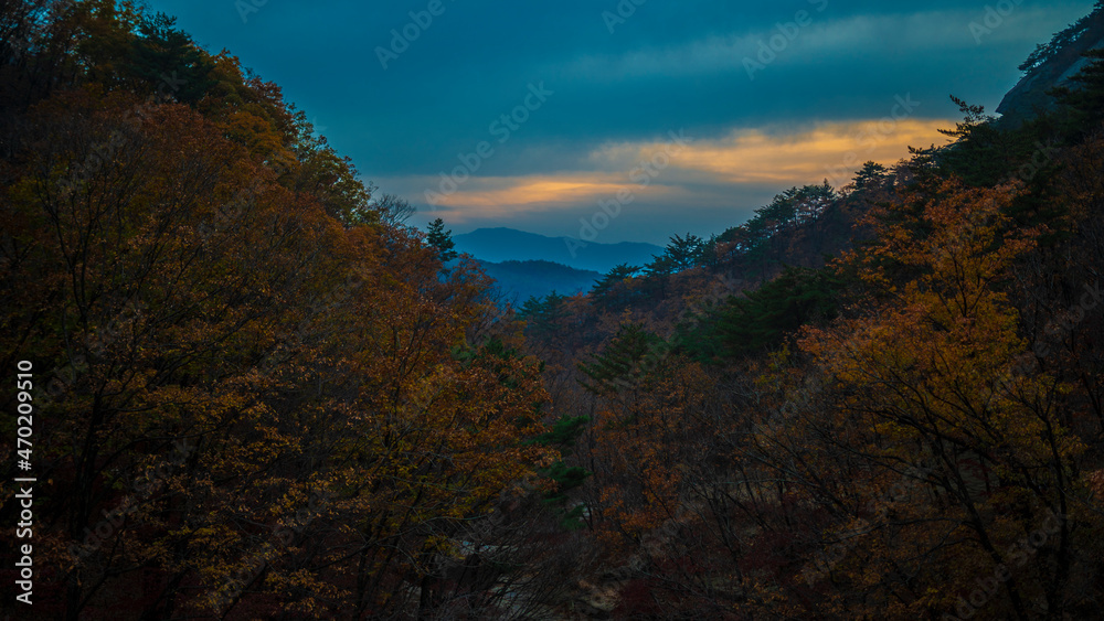 명성산의 가을 명성산의 가을