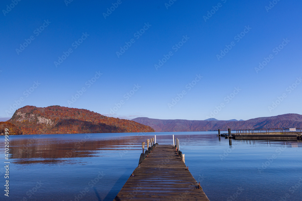 Naklejka premium autumn leaves in water