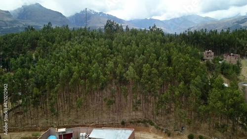 Aerial drone view of a pine forest with a background of mountains and snow-capped mountains in El Pinar, Huaras photo