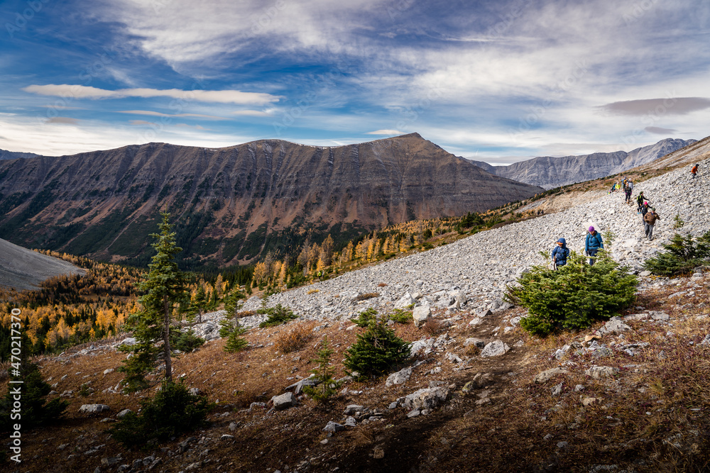 A group of tourists hiking in the Rocky Mountains with Larch Trees in fall colours A group of tourists hiking in the Rocky Mountains with Larch Trees in fall colours