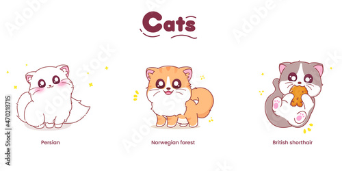 Fototapeta Naklejka Na Ścianę i Meble -  Cute cat characters with different breeds. vector illustration