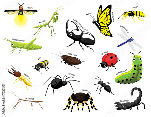 Cute Various Insects Cartoon Vector Illustration Set Identify © bullet_chained
