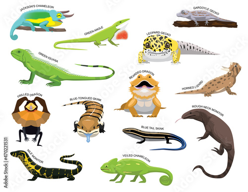 Cute Various Lizards Cartoon Vector Illustration Set Identify