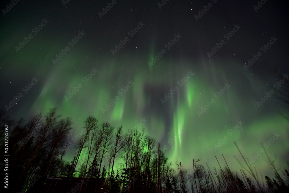 The aurora borealis brings a splash of color to a dark Alaska winter night.