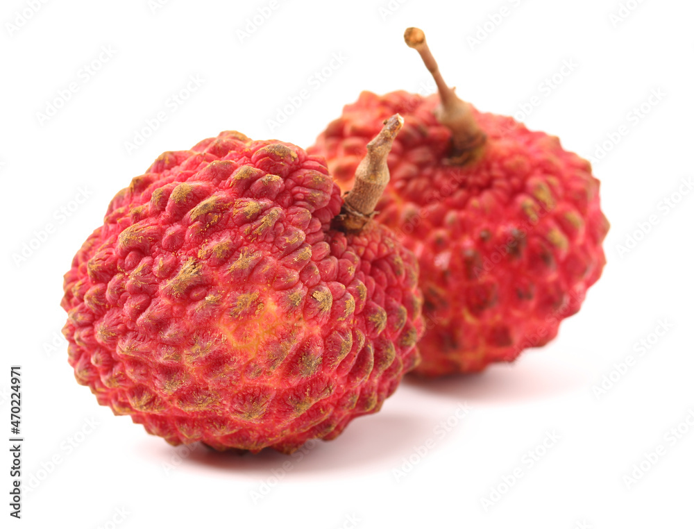 Fresh lychee (Litchi chinensis) isolated on white background Fresh lychee (Litchi chinensis) isolated on white background