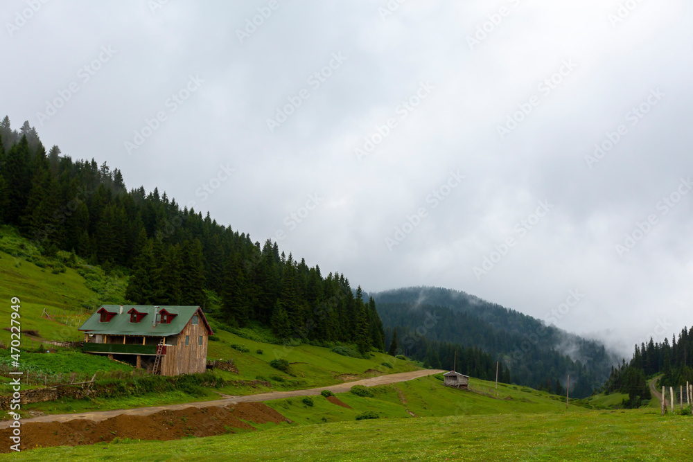 Black Sea Highlands, magnificent nature, forests and houses