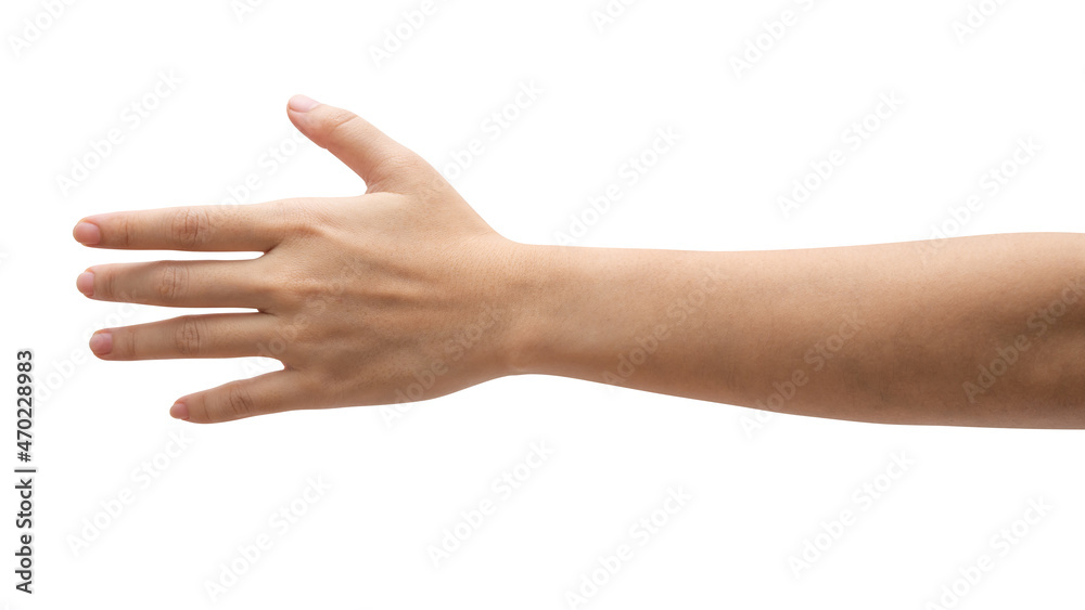 Woman hand reach and ready to help or receive. Gesture isolated on white background.