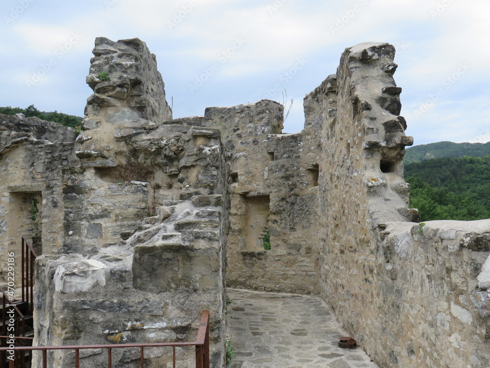 Burgruine Petrapilosa in Istrien (Kroatien)