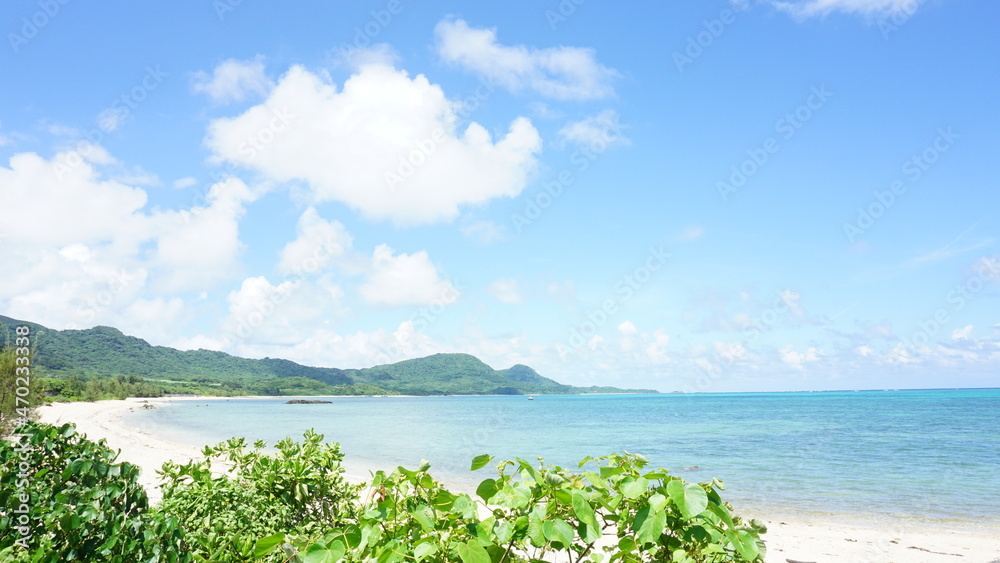 ビーチと海 ビーチと海