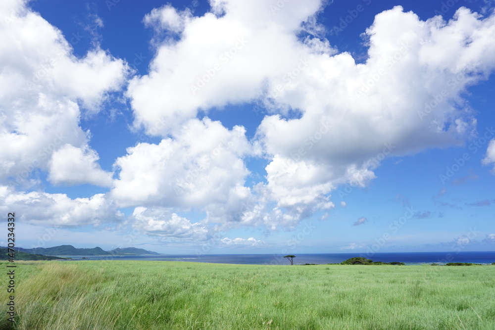 SDGs。青空と牧草地。持続可能な開発目標 SDGs。青空と牧草地。持続可能な開発目標