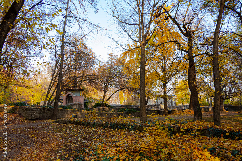 Ruins of a Dominican convent on Margaret Island in autumn