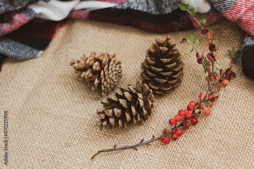 Autumn decoration of twigs and pine cones