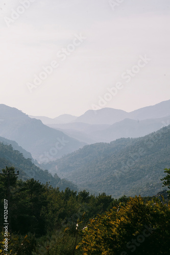 morning in the mountains