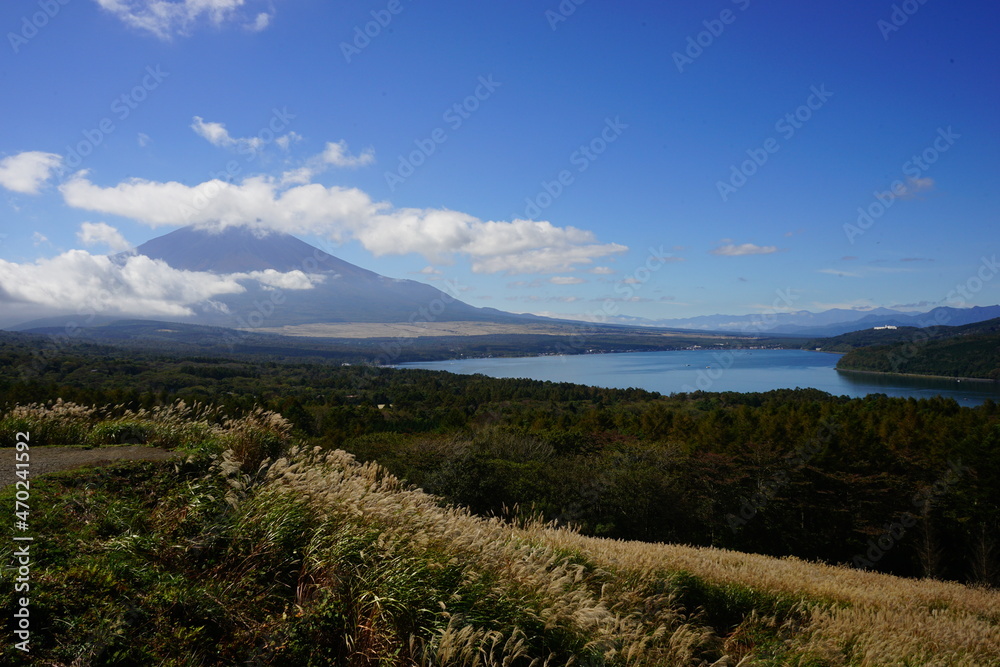 Autumn view with Japanese Pampas Grass or Susuk over Mt. Fuji in Yamanashi, Japan - 日本 山梨県 秋の景色 富士山 山中湖 Autumn view with Japanese Pampas Grass or Susuk over Mt. Fuji in Yamanashi, Japan - 日本 山梨県 秋の景色 富士山 山中湖
