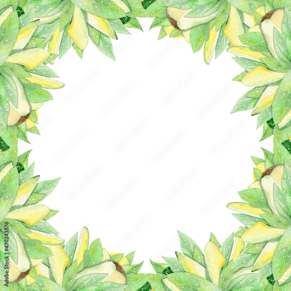 watercolor frame with avocado on white background watercolor frame with avocado on white background