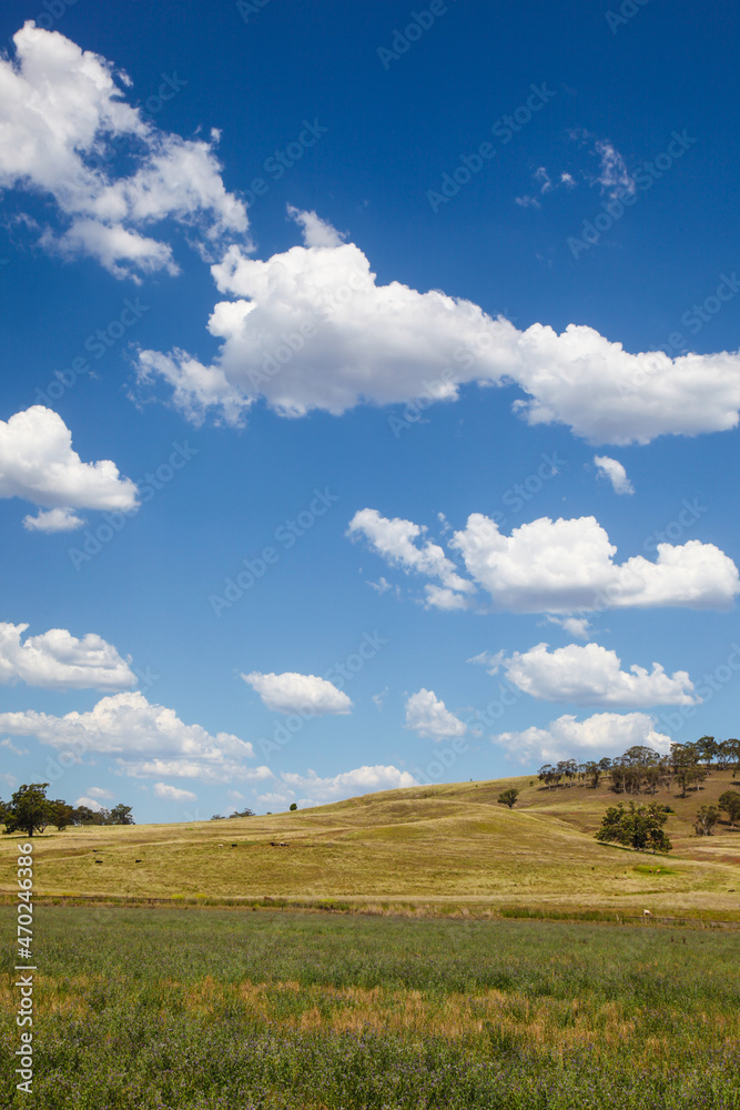 Farmland Country NSW - Australia Located near Bylong in Central NSW an important agricultural area Farmland Country NSW - Australia Located near Bylong in Central NSW an important agricultural area