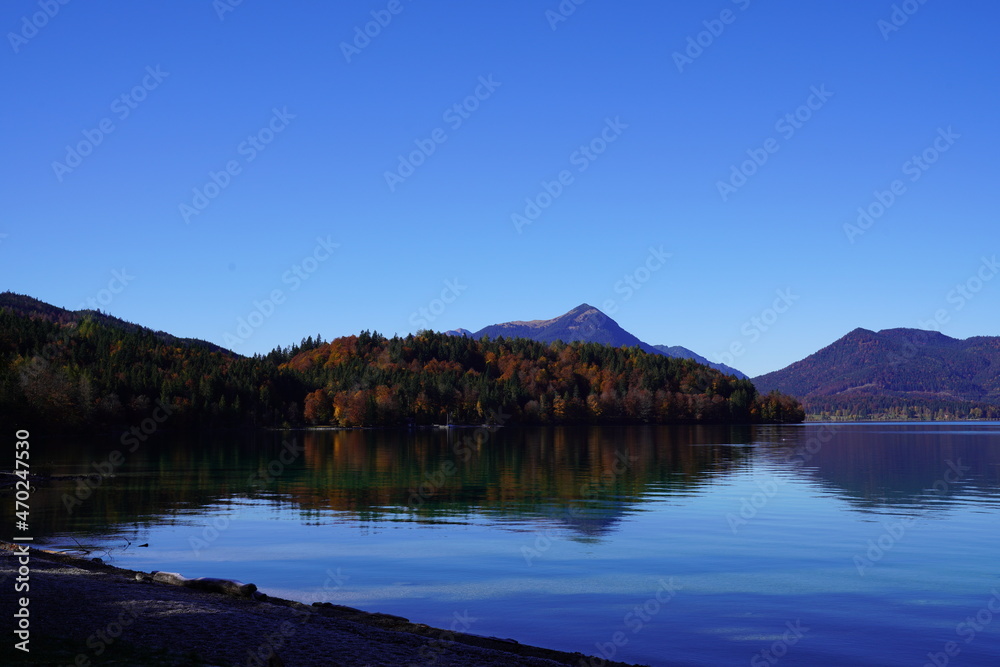 Herbstblätter und Wasserfall 