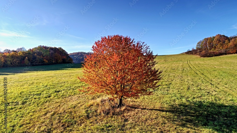 Naklejka premium DCIM\100MEDIA\DJI_0555.JPG