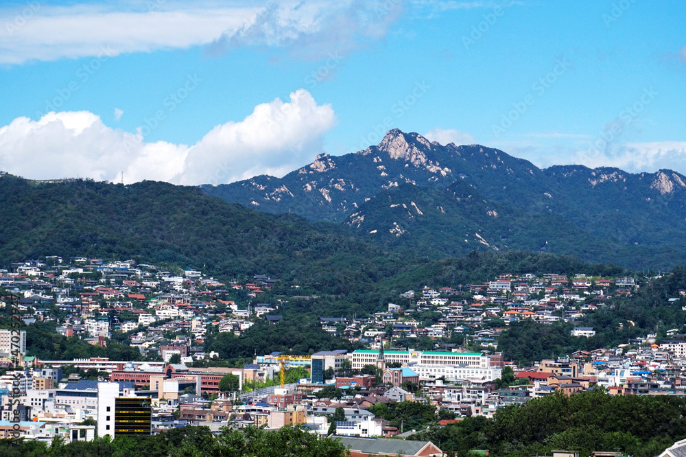 Fototapeta premium 낙산공원에서 내려다 보이는 도심의 풍경입니다,