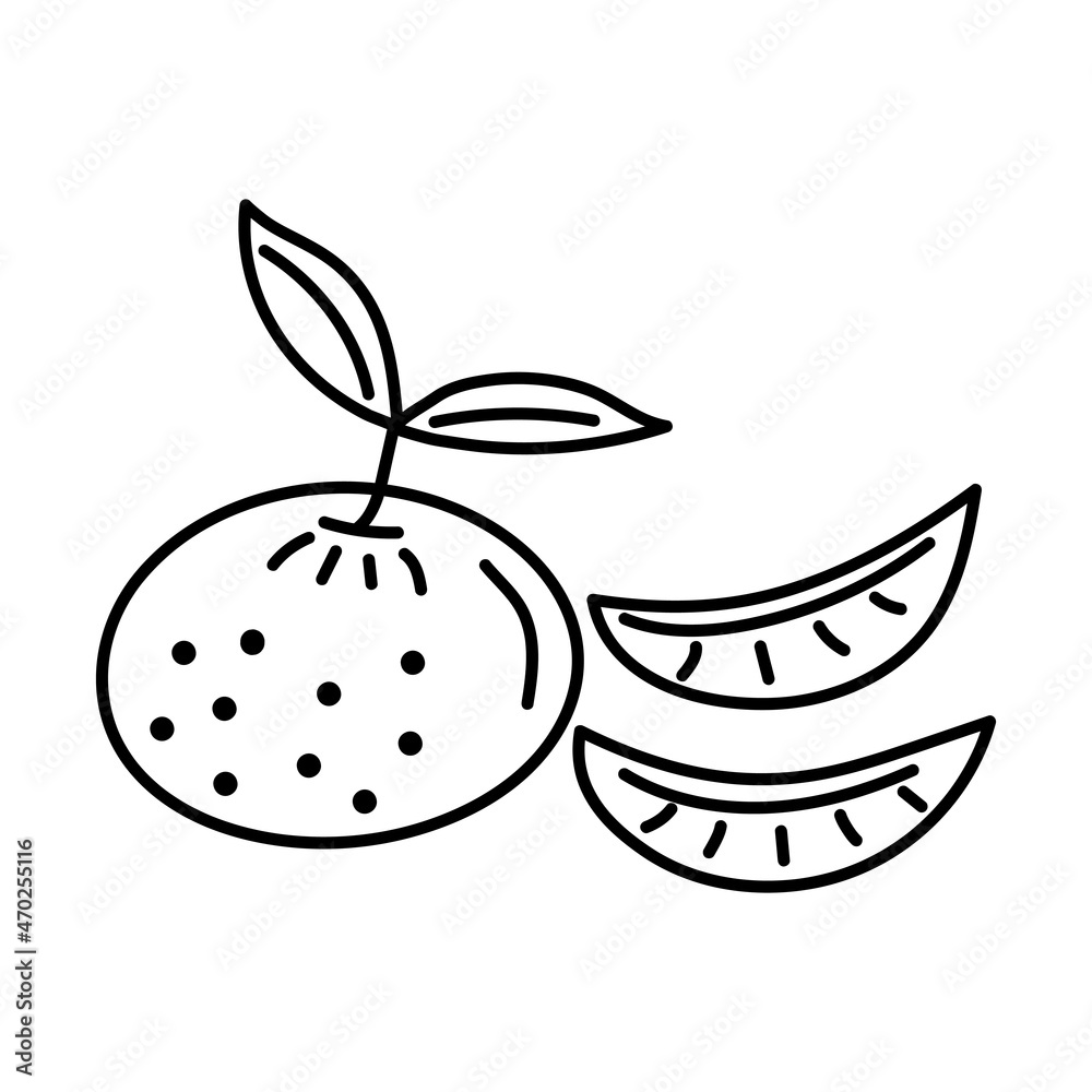 Obraz premium Tangerine with slices in doodle style. Mandarin New Year fruit. Vector illustration.