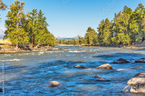 Chuya River in the Altai Mountains