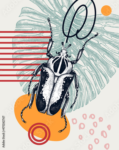 Papier peint Collage style Goliath beetle vector illustration