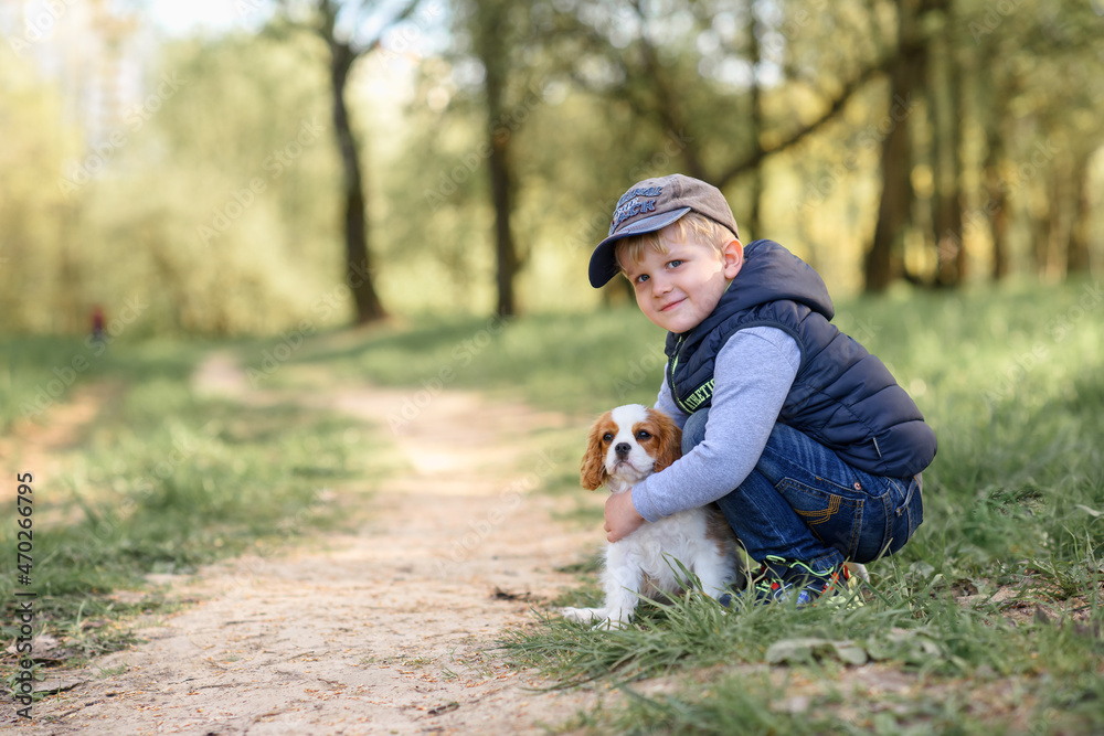 little boy with puppy cavalier king charles spaniel in spring in the forest little boy with puppy cavalier king charles spaniel in spring in the forest