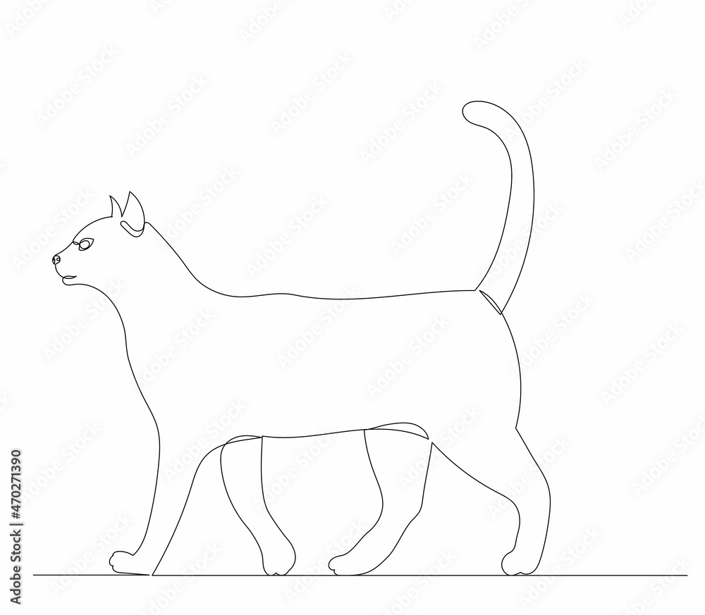 cat drawing one line on a white background