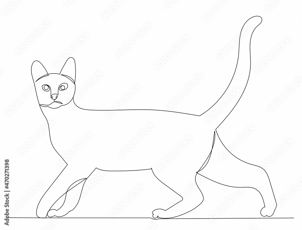 cat drawing one line on a white background, vector
