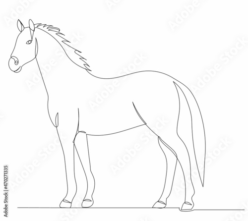 horse one line drawing on white background  vector