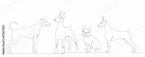 one line drawing dogs on white background, vector