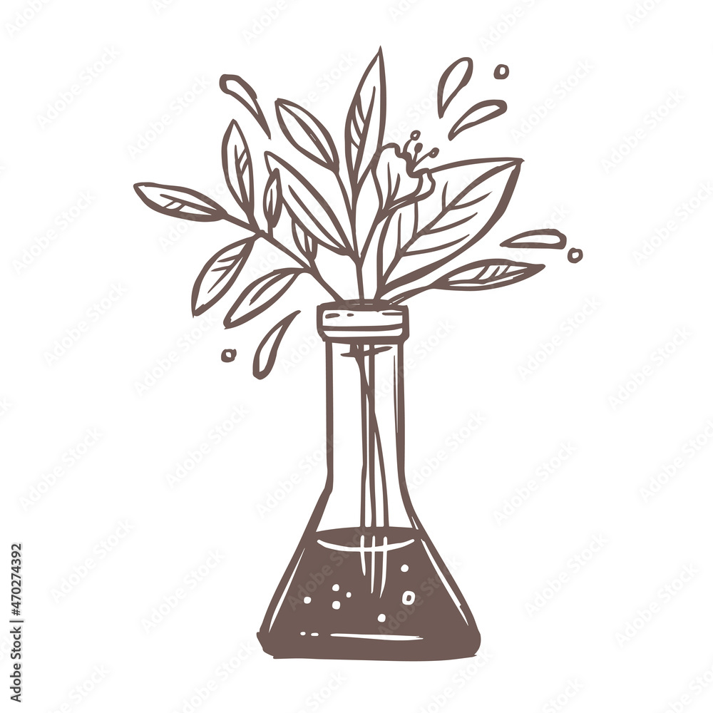 Ethical science vector symbol. Chemical glass flask with flower bouquet, plants, foliage and leaves. Laboratory pharmaceutical Ethical science vector symbol. Chemical glass flask with flower bouquet, plants, foliage and leaves. Laboratory pharmaceutical