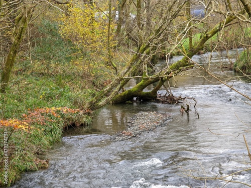 Fototapeta Naklejka Na Ścianę i Meble -  The Dulas River in autumn at Corris, Wales, UK.