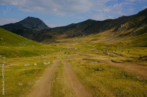 Beautiful green valley with buildings in mountains, views during trail from Dobërdol in Albania to the highest peak of Kosovo - Djeravica (Gjerovica)