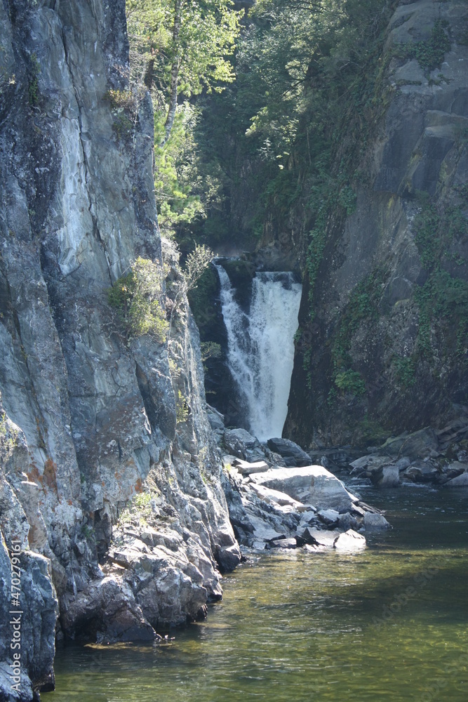 Obraz premium Teletskoye Lake in the Altai Mountains. The water glistens in the sun. Trees grow on the mountain. Mountain river and waterfall.