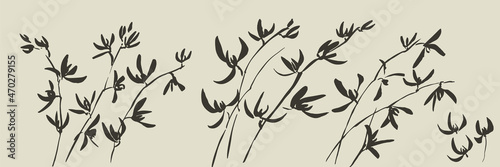 Elegant wild orchid tropica...