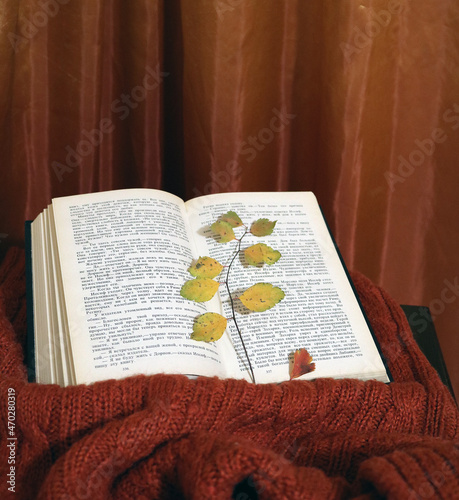 book with bookmark from autumn branches
