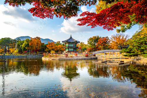 Obraz na płótnie Gyeongbokgung palace in autumn South Korea. w salonie