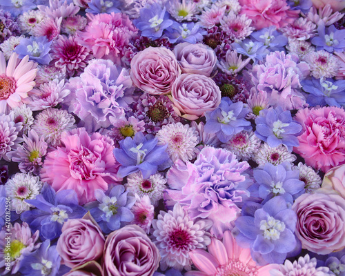 足利市　あしかがフラワーパークの花手水