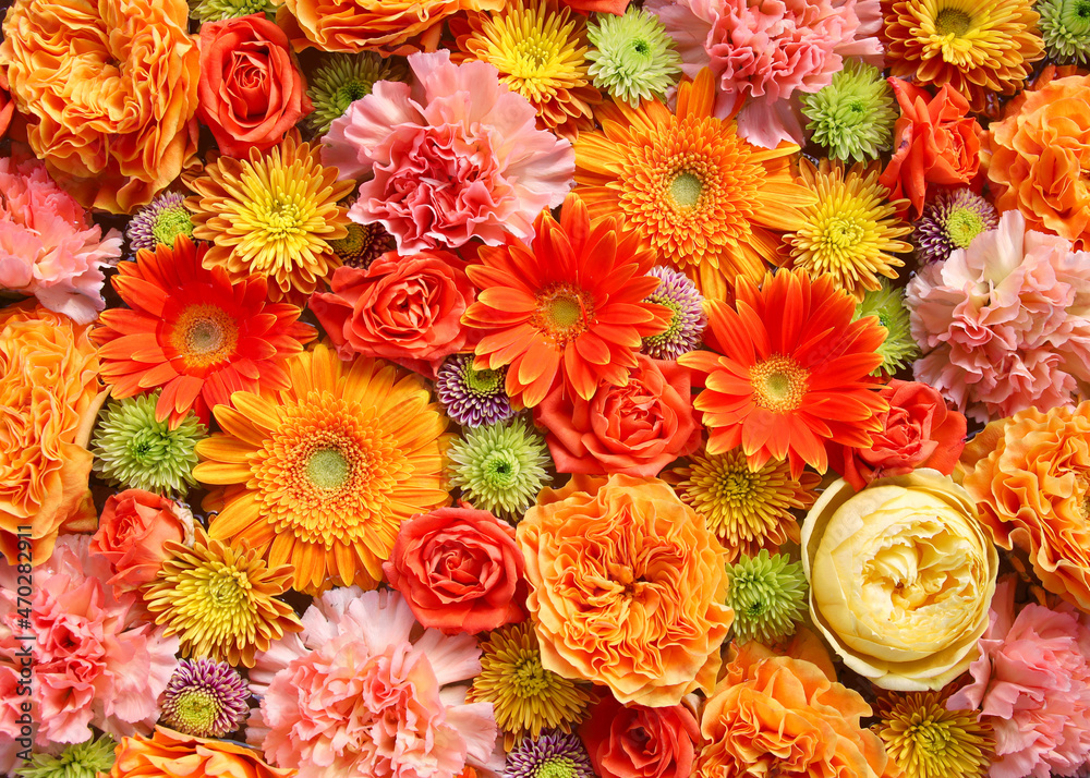 足利市　あしかがフラワーパークの花手水