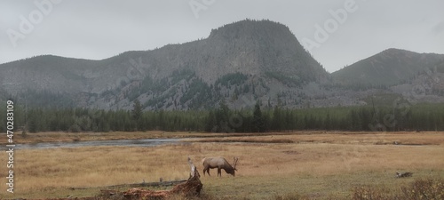 Yellowstone Grand Teton Nationalpark in fall.
sky geysir geothermal steam forest canyon