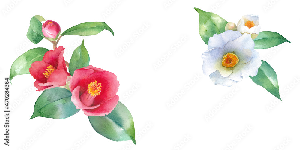 紅白のツバキの水彩イラスト ２隅装飾フレーム バナー ヤブツバキ ベクター 葉と花のレイアウト変更可能 Stock Vector Adobe Stock