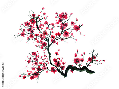 Plum Blossom plant Traditional chinese foliage garden bouquet elements