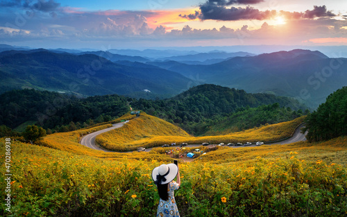 Wallpaper Mural Young woman take a photo at Tung Bua Tong Mexican sunflower field in Mae Hong Son Province, Thailand. Torontodigital.ca
