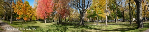 Panoramic of a fall scene in Lafontaine Park in Montreal. © Guy