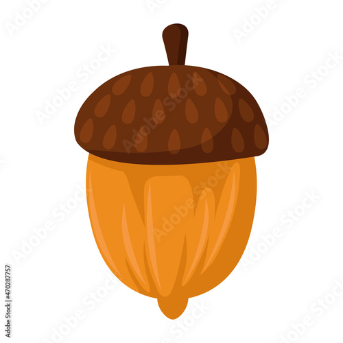 food nut acorn
