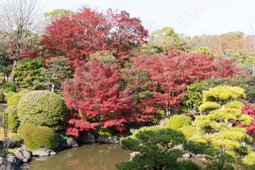 秋の風景