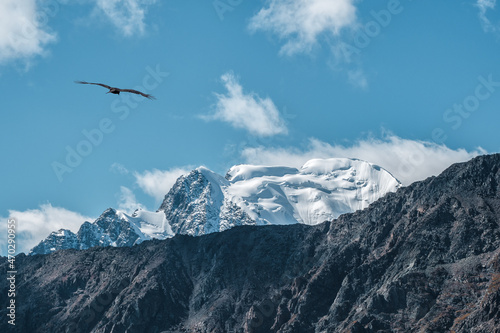 Beautiful alpine sunny landscape with high snowy mountain with peaked top and glacier above low clouds. Big snow covered mountains in sunshine. White-snow pointy peak in sunlight.
