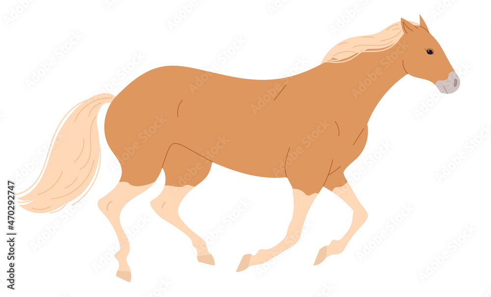 Horse with blond mane is galloping slowly.