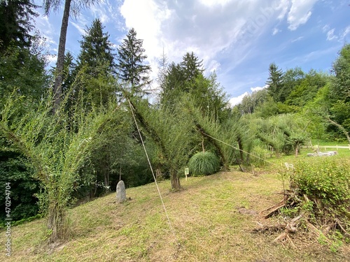 Schwaz Unteres Inntal Tirol Österreich - Silberwald Heilwald photo